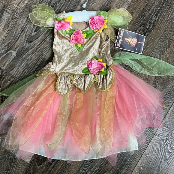 Fairy Dust Costume - Picture 7 of 15